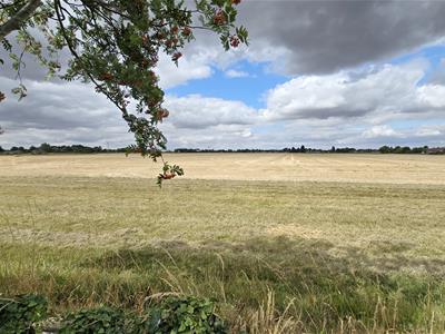 Picture 16